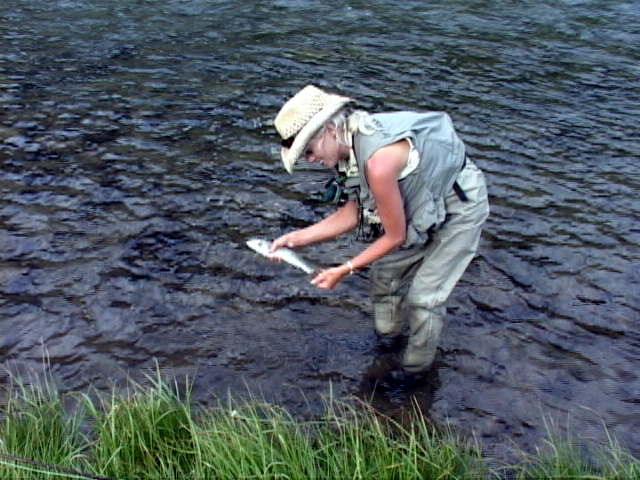 Fly Fishing the Gallatin River - Fly Fishing Yellowstone National Park